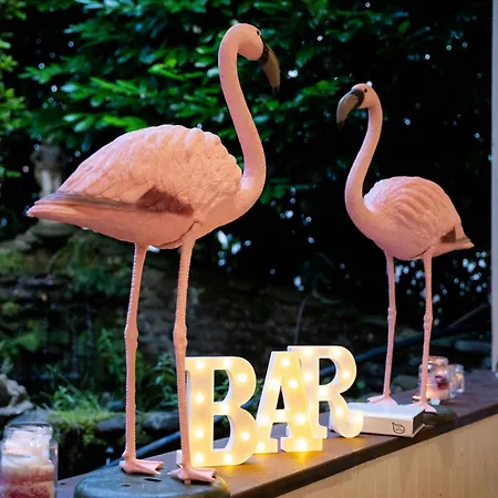 Ecohotel Ristorante Milano 3* 博尔戈阿莫扎诺